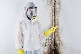 Best Mold Removal for HVAC Installations  in Carthage, TN